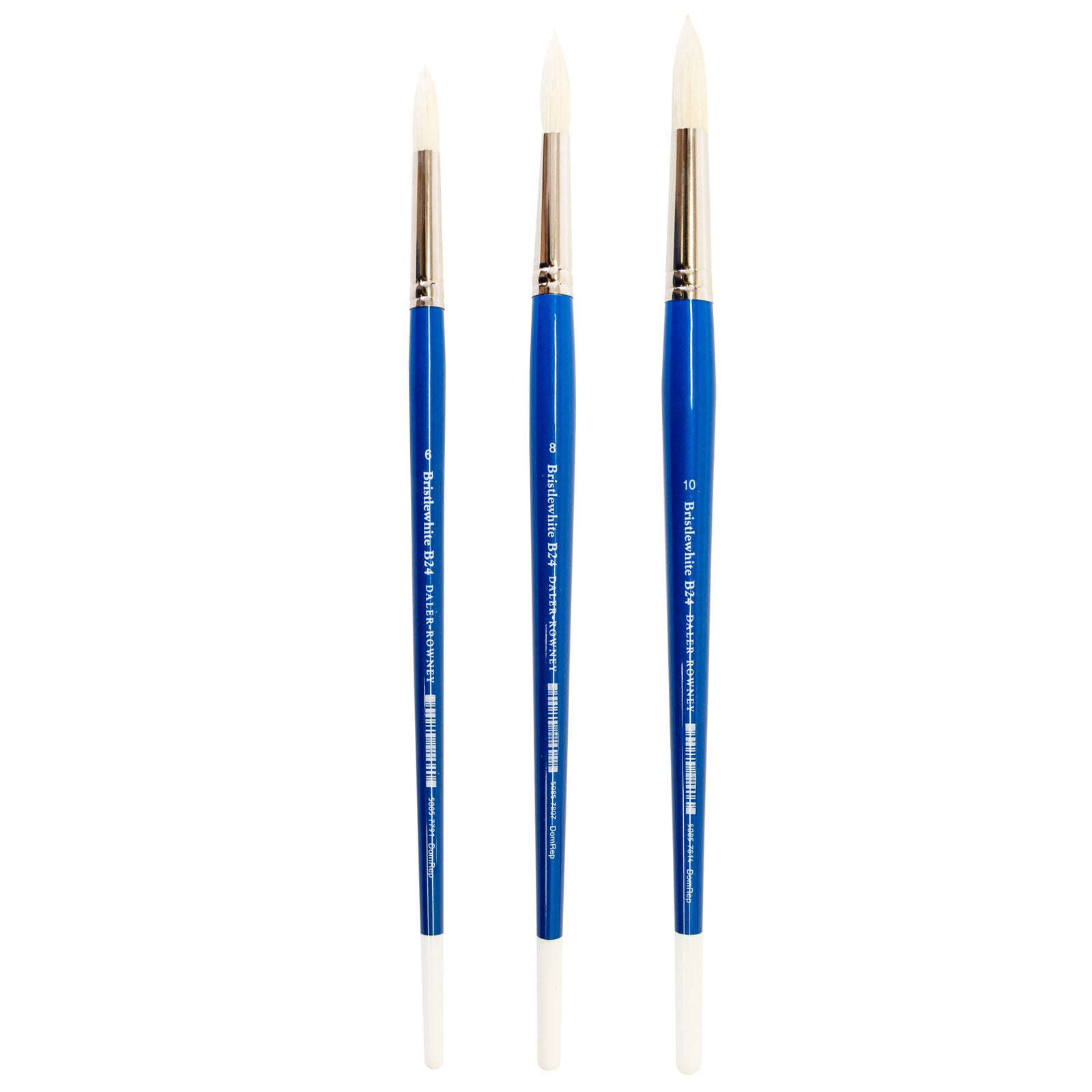 Daler Rowney's acclaimed Bristlewhite range, instantly recognisable by its white-tipped blue handle, is a best-selling hog hair brush series. Chungking hog bristle is noted for its resilience and durability, making these brushes outstanding value.  The Series B24, Rounds, are ideal for fine detailing, touching in small areas, and adding thinly-applied colour.