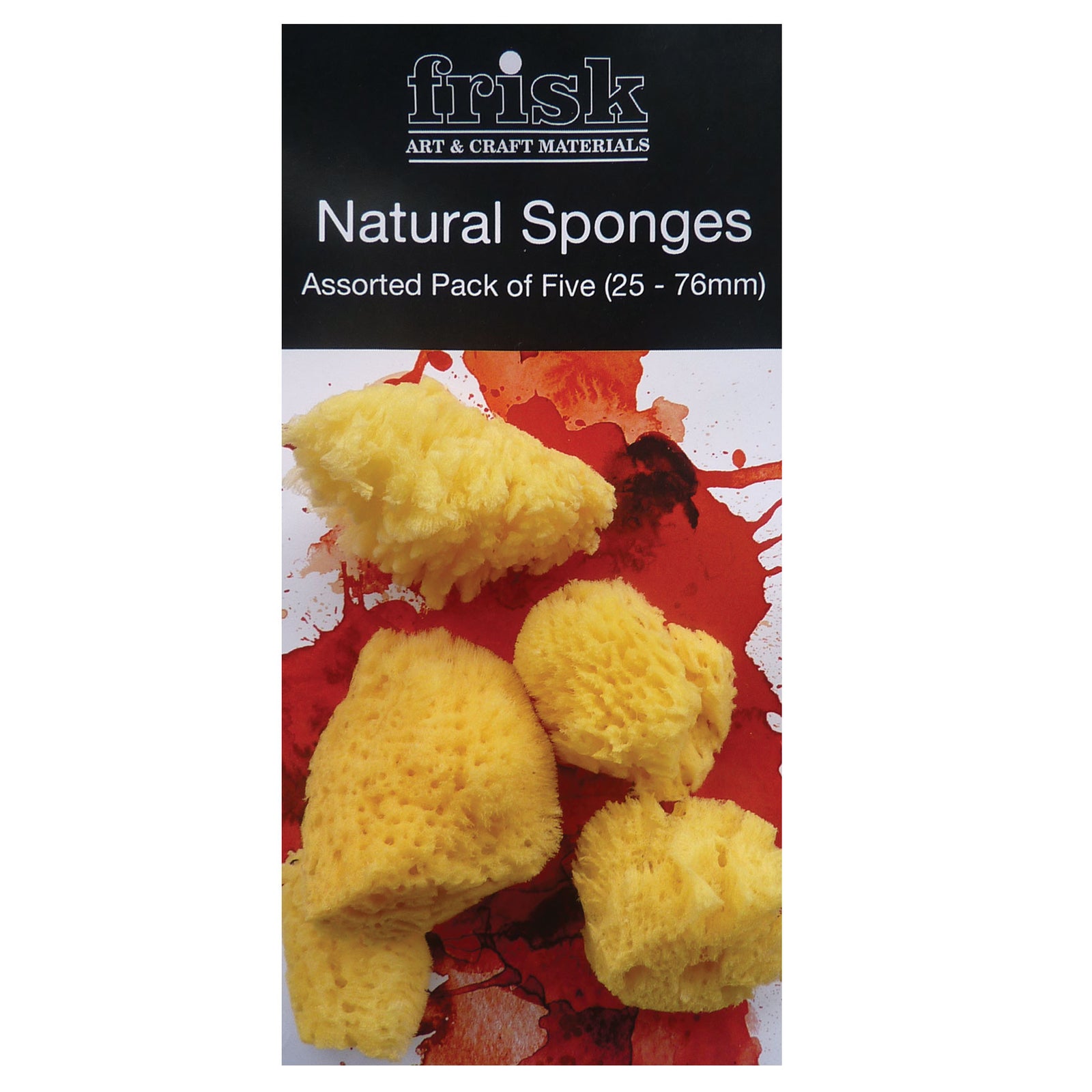 Natural Sponges